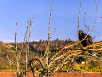 Tenango de las Flores